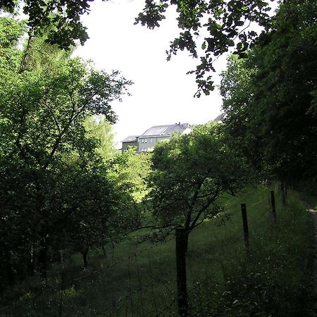 Ferienwohnung Nisius Geisfeld  Bagian luar foto